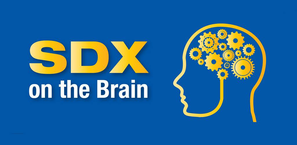 Read more about the article Forward Looking CEOs have SDX on the Brain